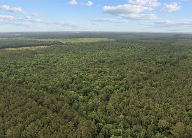 Property at 44319 Sheperd, Shepherd, TX 77371