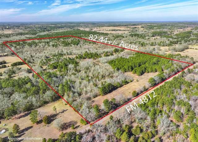 Property at tbd County Road 4812, Ben Wheeler, TX 75754