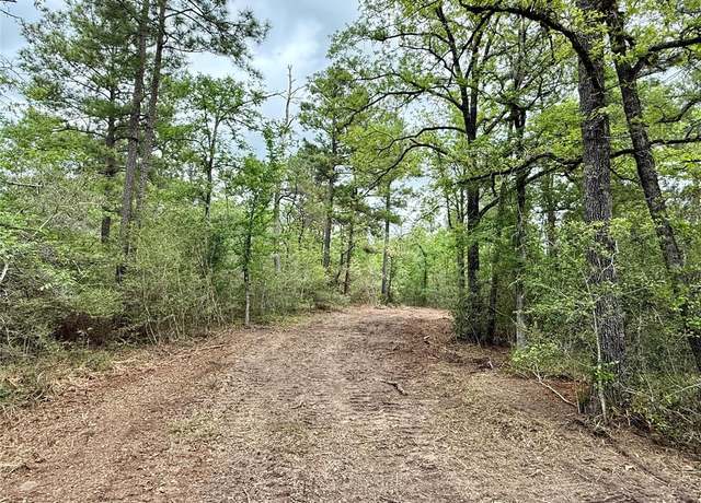 Property at 10+/- Acres Round Prairie Rd, Huntsville, TX 77320