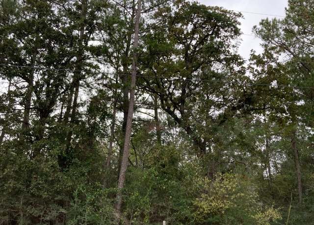 Property at 16596 Camelia Ln, Plantersville, TX 77363
