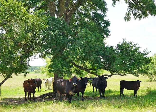Property at 00002 County Road 419, Navasota, TX 77868