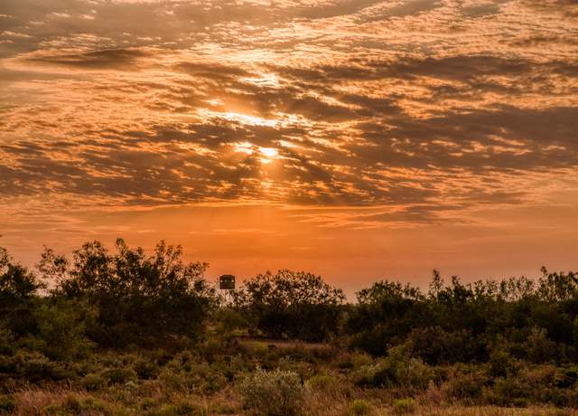 Property at 5172 Cr 321, Freer, TX 78357