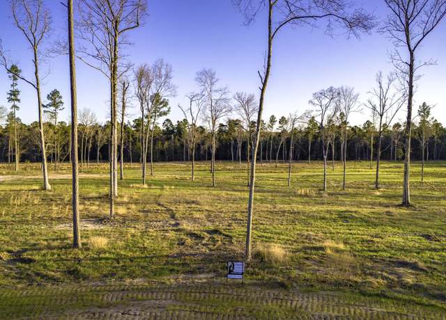 Property at TBD 05 Johnson Dr, Livingston, TX 77351