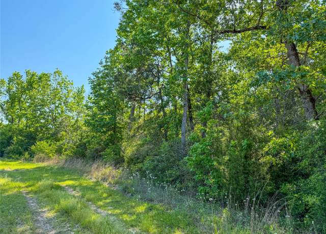 Property at TBD Hwy 69, Woodville, TX 75979