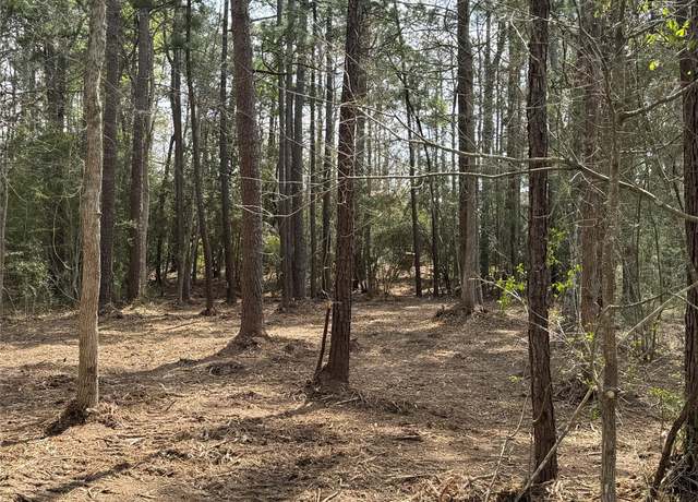 Property at 087 Private Road 6026, Brookeland, TX 75931