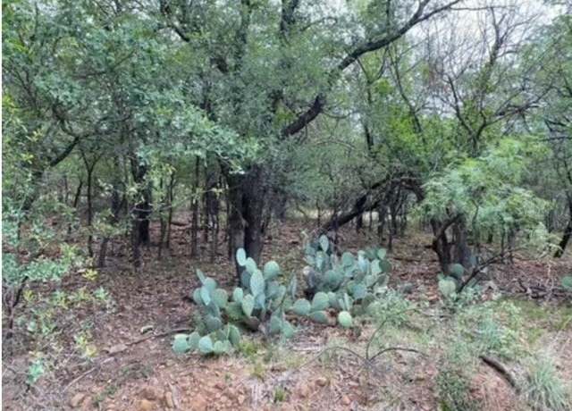 Property at 0 NE 8th Ave, Mineral Wells, TX 76067