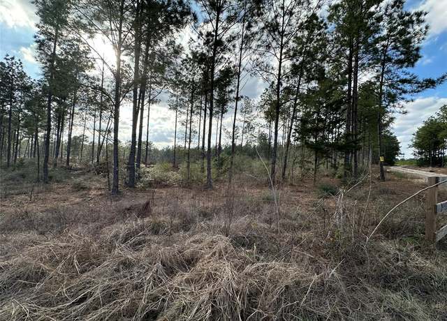 Property at Tract 18 Richardson Rd E, Livingston, TX 77351