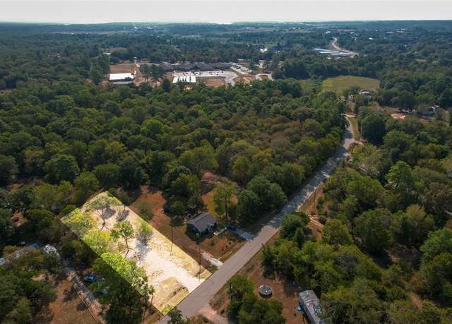Property at 918 Dr Martin Luther King Dr, Montgomery, TX 77316