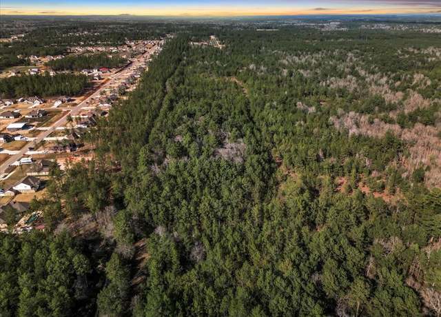 Property at 0 A0186 - Dease Conley, Tract 15, Acres 20, Conroe, TX 77303