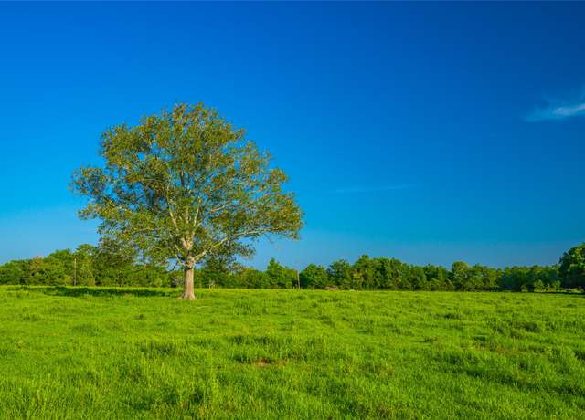 Property at 0 Farm To Market 256, Woodville, TX 75979