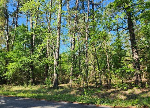 Property at 20131 Belleau Wood Dr, Houston, TX 77338