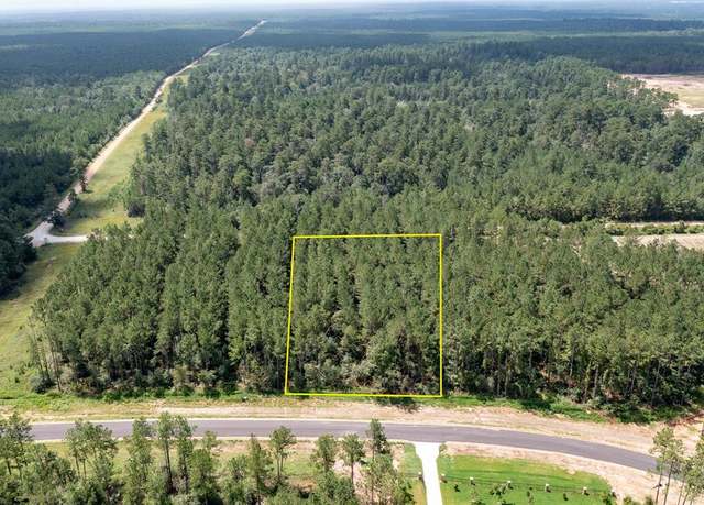 Property at 15291 Forest Grove Dr, Willis, TX 77378