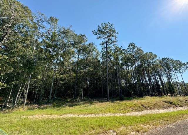 Property at Lot 1 Stonebrook Dr, Livingston, TX 77351