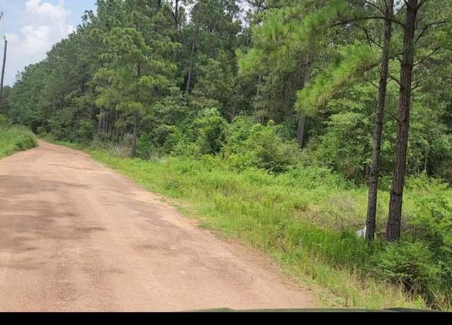 Property at 13 Scarlet Oak Dr, Plantersville, TX 77363