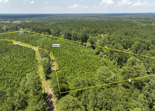 Property at 03 Fire Tower Rd, Hemphill, TX 75948