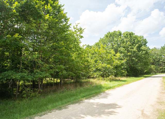 Property at 384 Hideaway Dr, Trinity, MI 75862