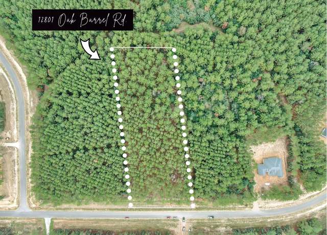 Property at 12801 Oak Barrel Rd, Willis, TX 77378