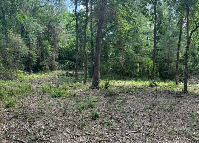 Property at 0 Paradise Point Dr, Willis, TX 77318
