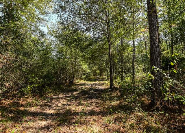 Property at 0 Hwy 105, Hull, TX 77564