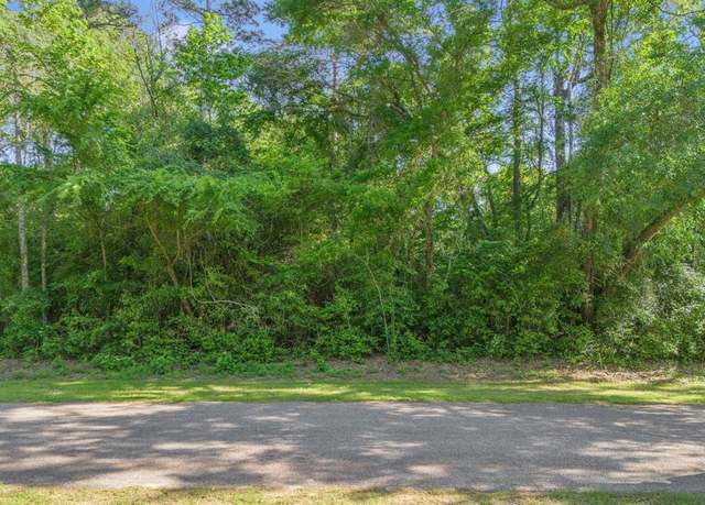 Property at TBD Paradise Point Dr, Willis, TX 77318