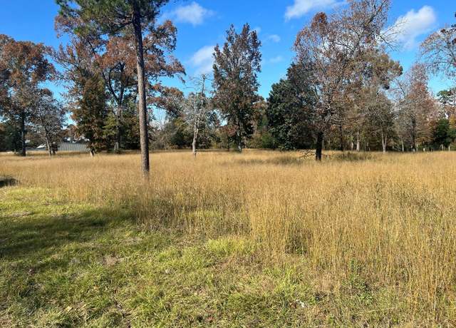 Property at TBD S Houston Ave, Livingston, TX 77351