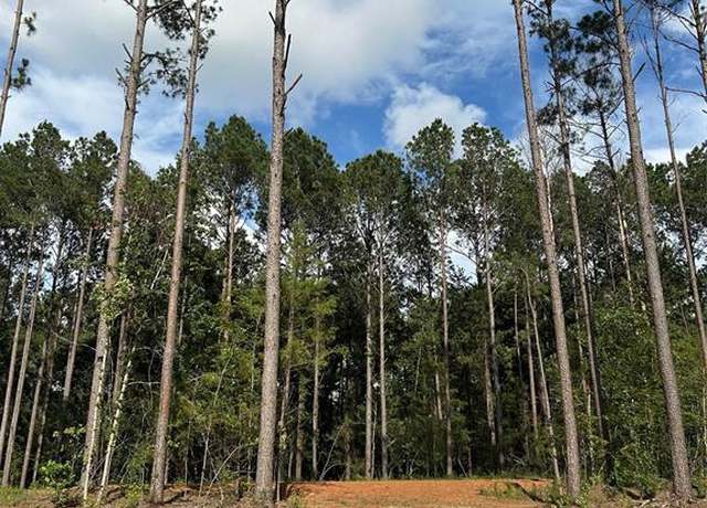 Property at 11362 Annie Creek Dr, Willis, TX 77378
