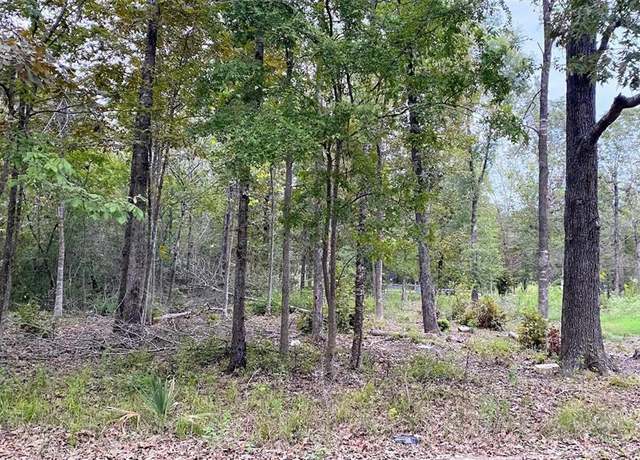 Property at O Panther Ln, Livingston, TX 77351