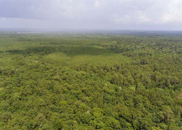 Property at TBD Old Beaumont Hwy, Silsbee, TX 77656