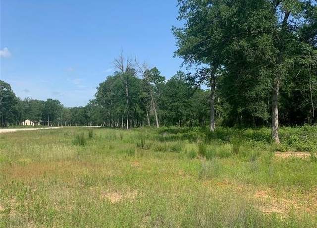 Property at Lot 19 County Rd 389, Jewett, TX 75846