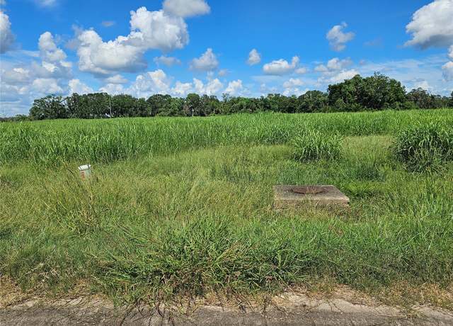 Property at 242 Shetland Ct, Angleton, TX 77515