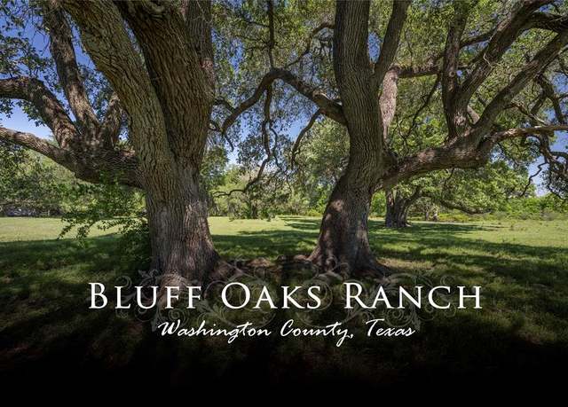 Property at 15140 Bluff Rd, Washington, TX 77880