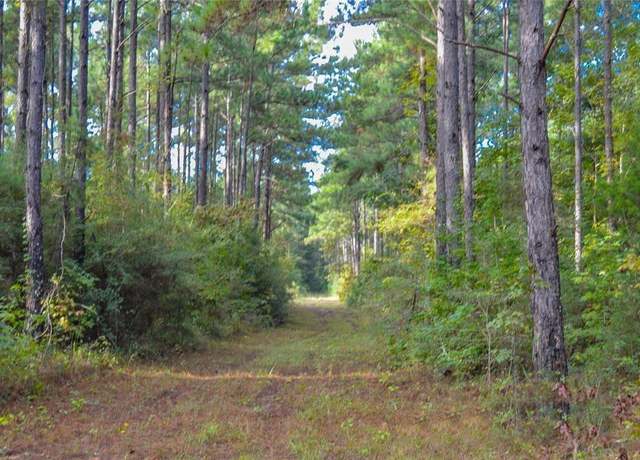 Property at 000 FM 223, Shepherd, TX 77371