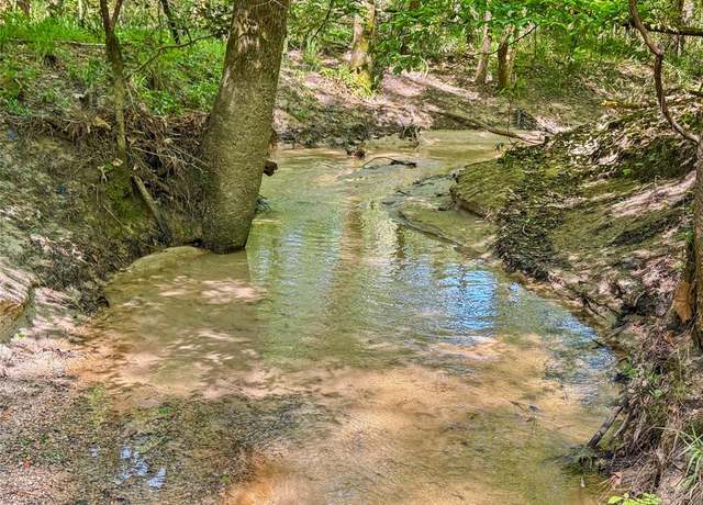 Property at TBD Hwy 1745, Colmesneil, TX 75938