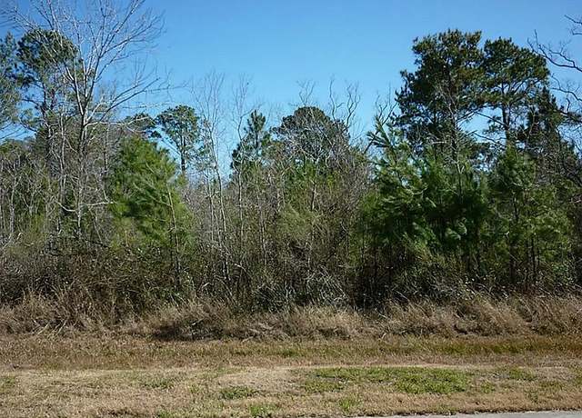 Property at 7311 Bayou Timbers Dr, Alvin, TX 77511
