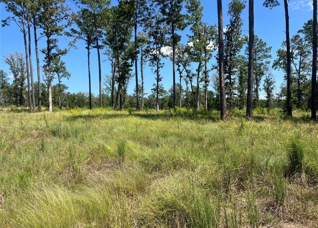 Property at TBD Ray Marsh Rd Rd, Livingston, TX 77351