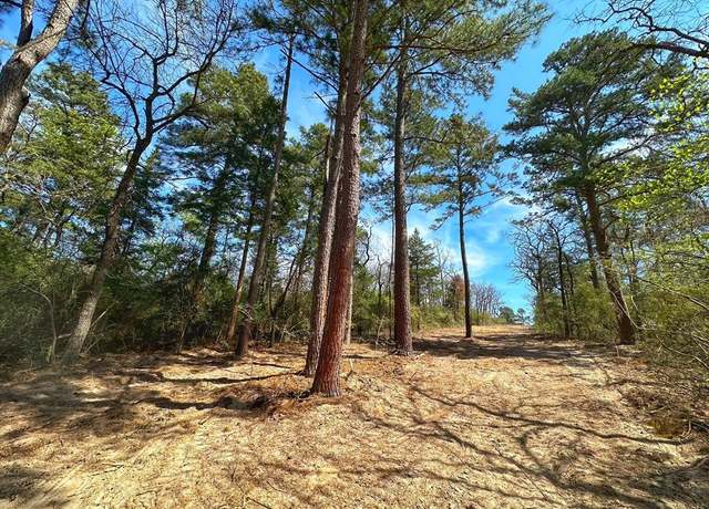 Property at TBD CR 292, Buffalo, TX 75831