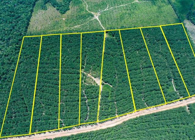Property at 2 Benny Griffin Rd, Dallardsville, TX 77351