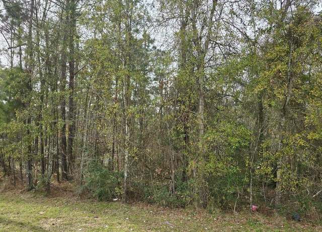 Property at 10437 Ivy St, Livingston, TX 77351