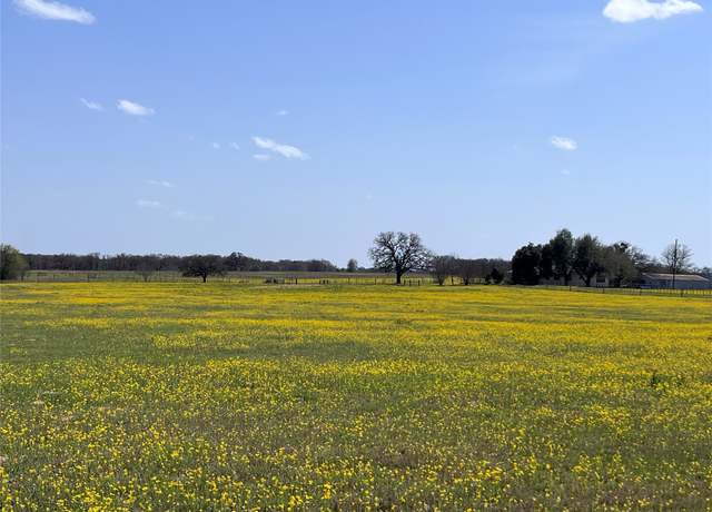 Property at 296 Lcr 702, Kosse, TX 76653