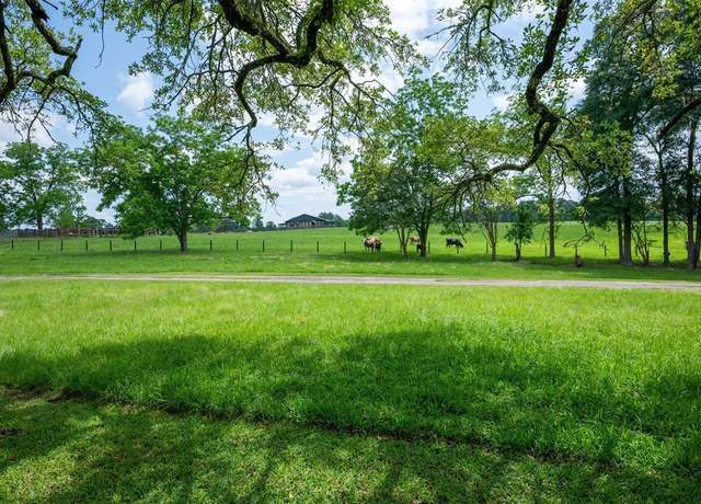 Property at 1893 County Road 4250, Woodville, TX 75979, 3 beds, 2 baths