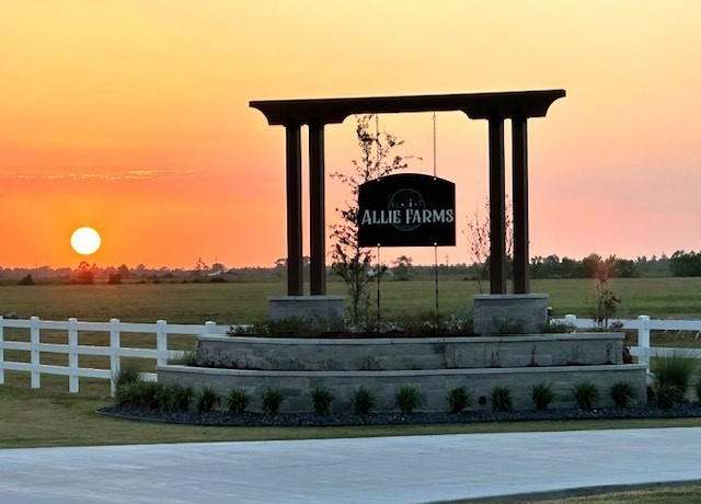 Property at Lot 17 Allie Ln, Dayton, TX 77535