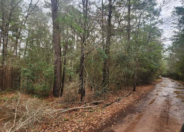 Property at Lot 28 Sycamore Ln, Plantersville, TX 77363