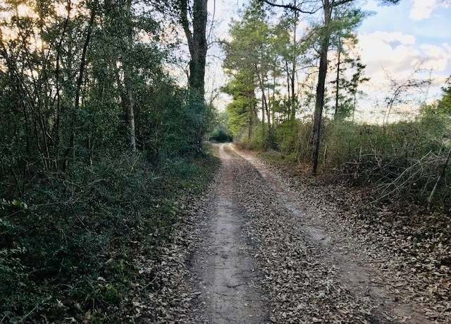 Property at 00 10 Ac Off Of Fm 1309, Lovelady, TX 75851