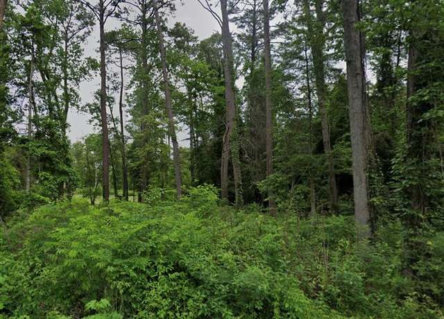 Property at Lot 7 White Oak, Burkeville, TX 75932