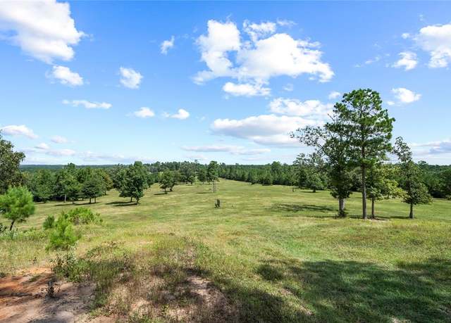 Property at TBD FM 980, Point Blank, TX 77364