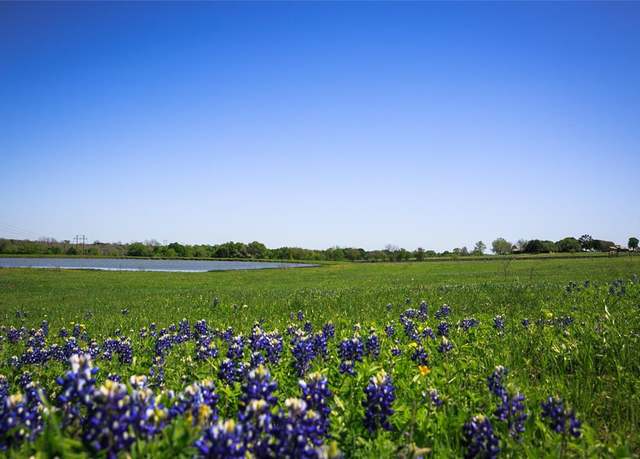 Property at 74 Acres Caney Creek Rd, Chappell Hill, TX 77426