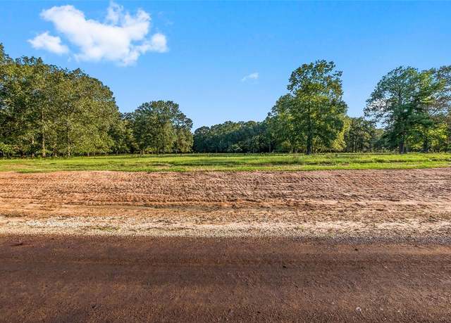 Property at 6052 Alans Memorial Ln, New Waverly, TX 77358