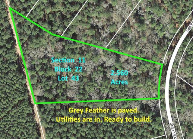 Property at 215 Grey Feather Rd, Huntsville, TX 77340