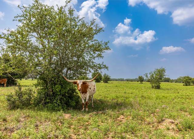 Property at Tract 2 County Road 106, Columbus, TX 78934