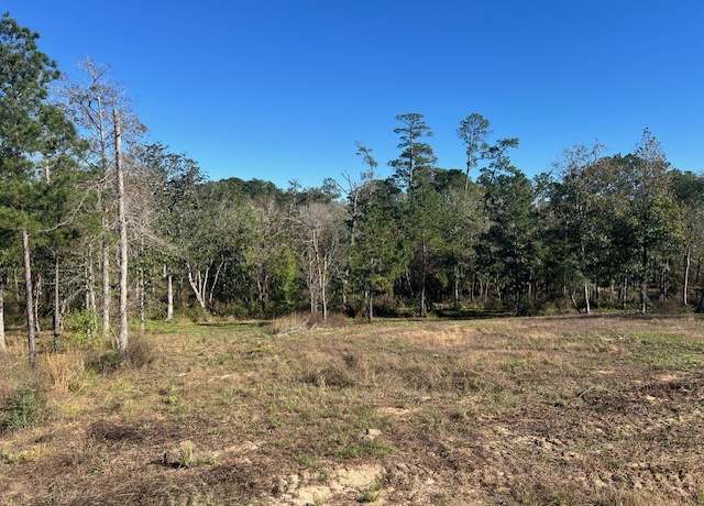 Property at TBD LOT 27 Addison Rd, Livingston, TX 77351